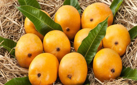 Mango