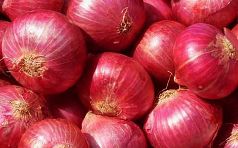 Onion